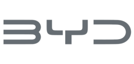 Logo Byd Riau